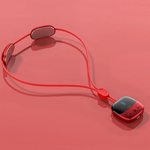 Spine Massager Portable